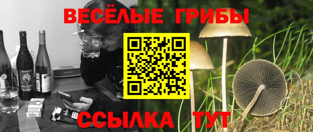 Галлюциногенные грибы мухоморы Ефремов